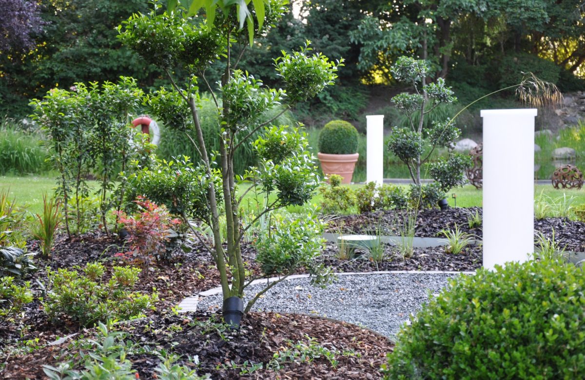 E6331CF5-2AD8-4F71-BC54-4BF5DF0EAEB5