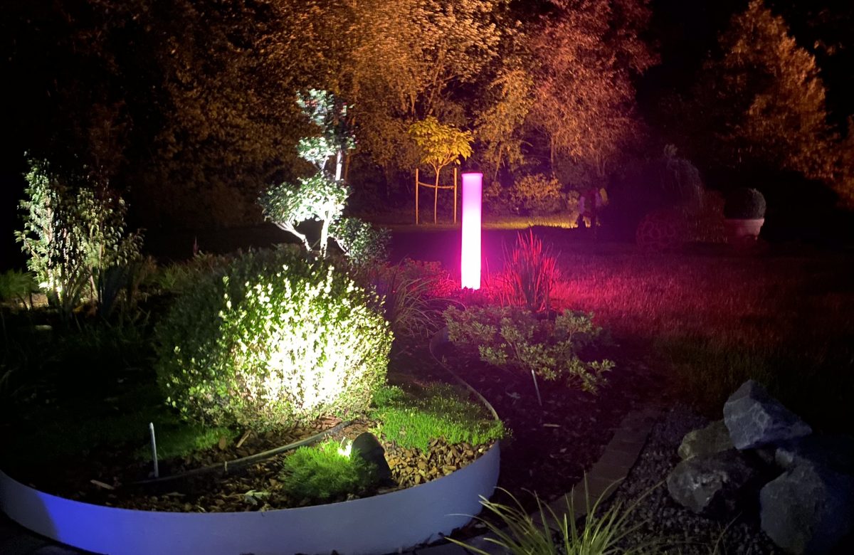 0858249F-66BB-4859-9AC1-A86D72C18900